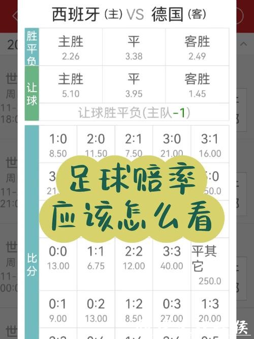 世界杯投注：从赔率看比赛结果趋势